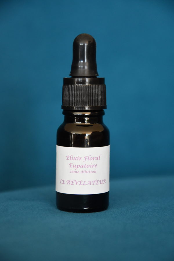 Élixir floral bio d'Eupatorium (Cannabinuim)