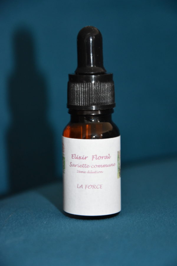 Élixir floral bio de Sariette commune ou Grand Basilic (Clinopodium Vulgare)